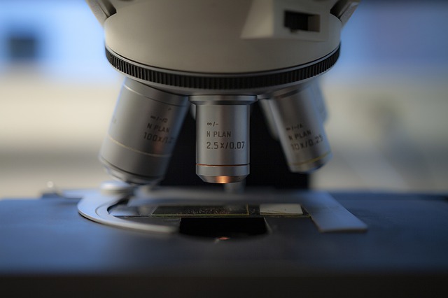 Analisi geotecniche di laboratorio a Rovigo